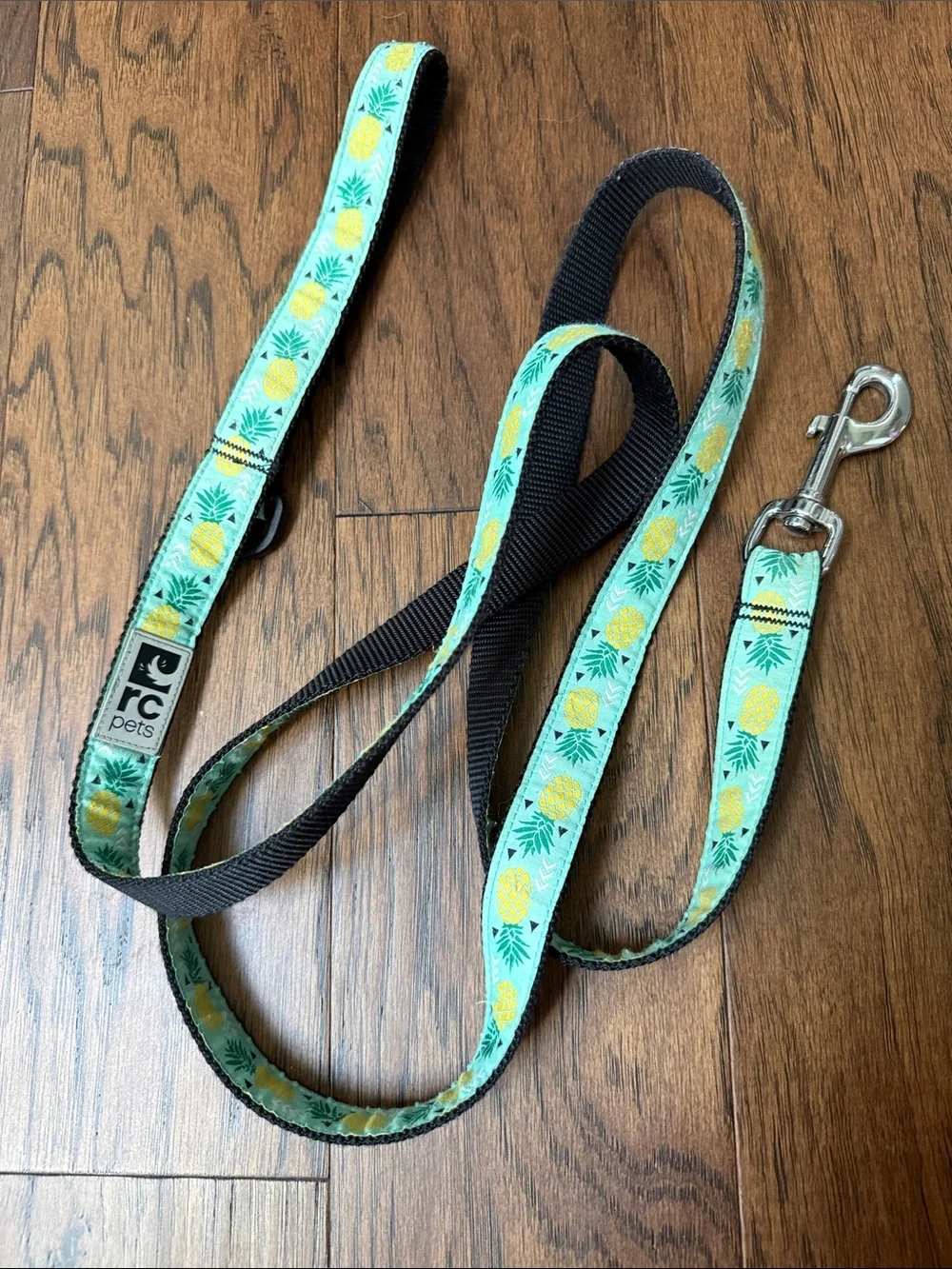 RC pets stylish aqua